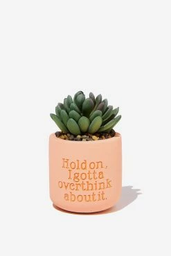 Typo Tiny Planter With Plant