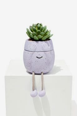 Typo Stashed Away Mini Planter
