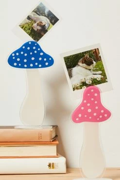 Typo Acrylic Card Holder 2 Pack